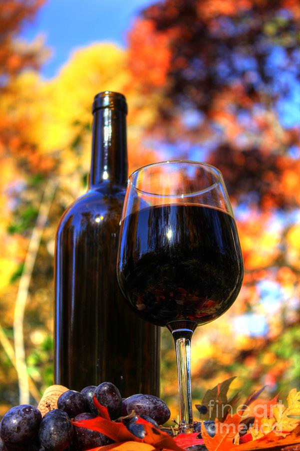 Autumn Wine 2 Photograph by Jimmy Ostgard