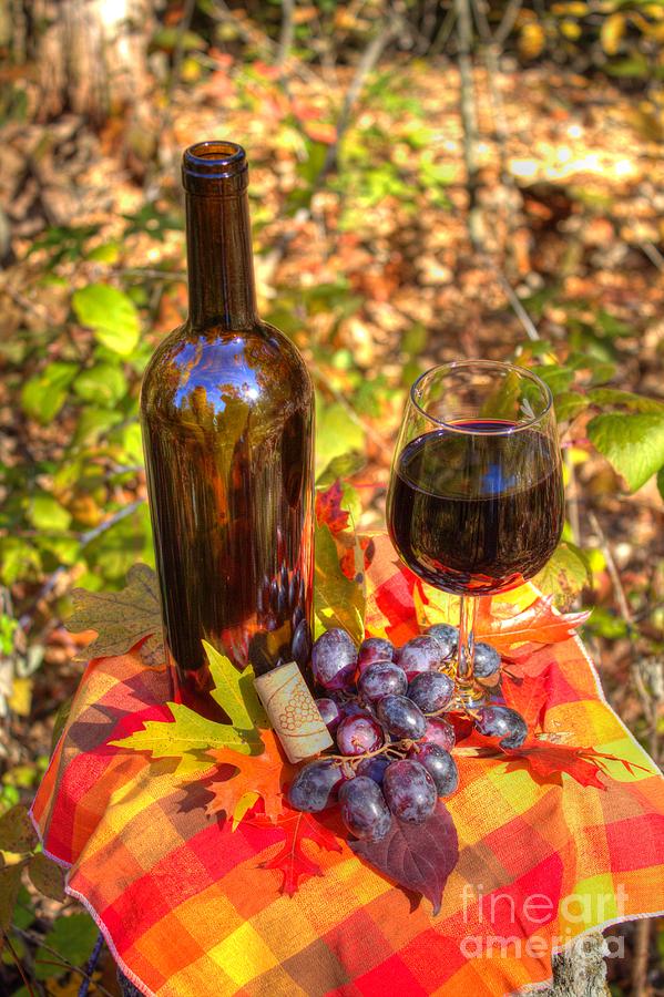 Autumn Wine Photograph by Jimmy Ostgard