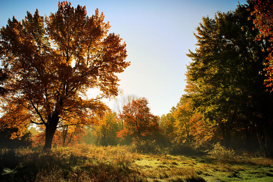 Autumn Wonderland Photograph by Rob Blair
