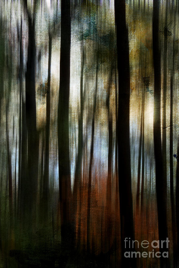 Abstract Digital Art - Autumn Woods  by Jayne Carney