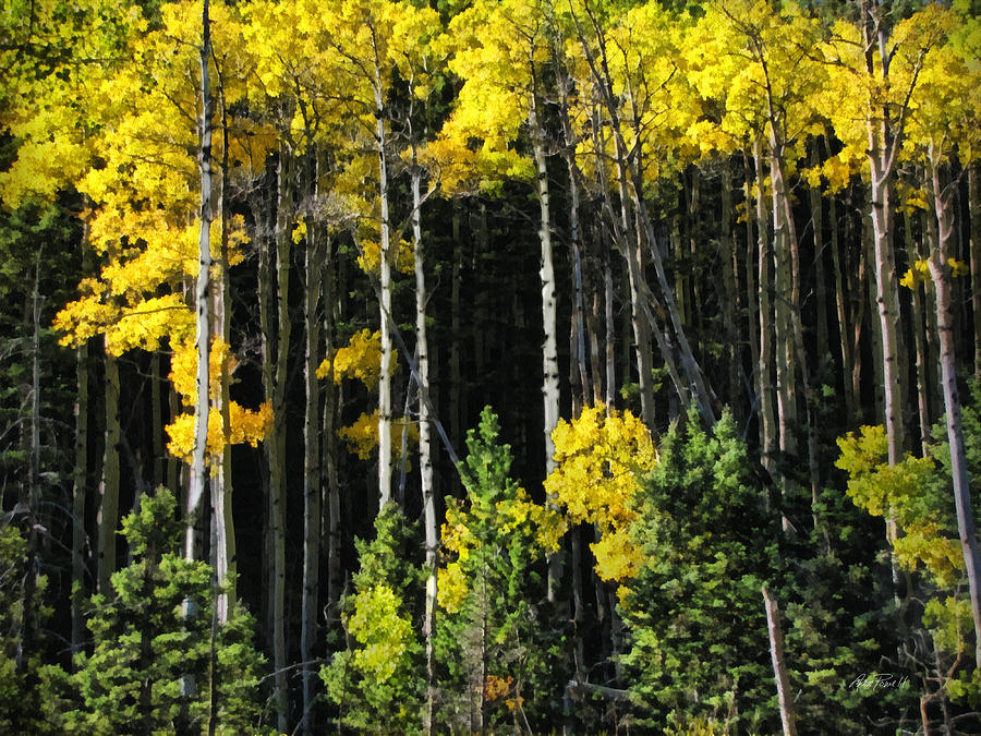 Autumn Yellow Aspen Photograph by Ann Powell