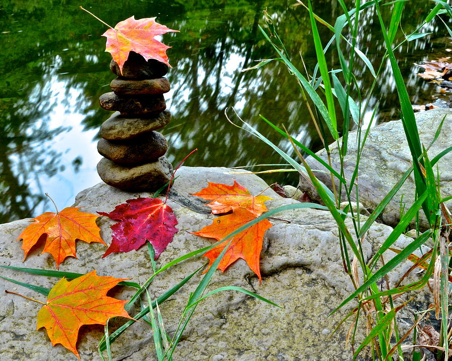 Autumn Zen Photograph by Frozen in Time Fine Art Photography