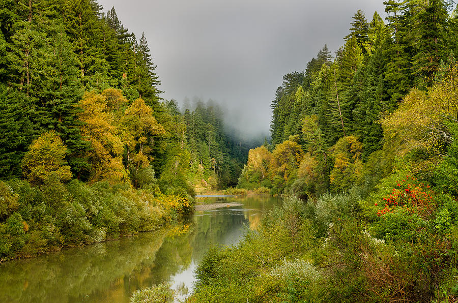 Autumnal Fog Over the Eel Photograph by Greg Nyquist