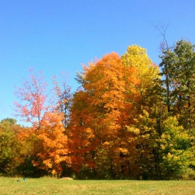 Autumnal Glory Photograph by Kimberly Speranza
