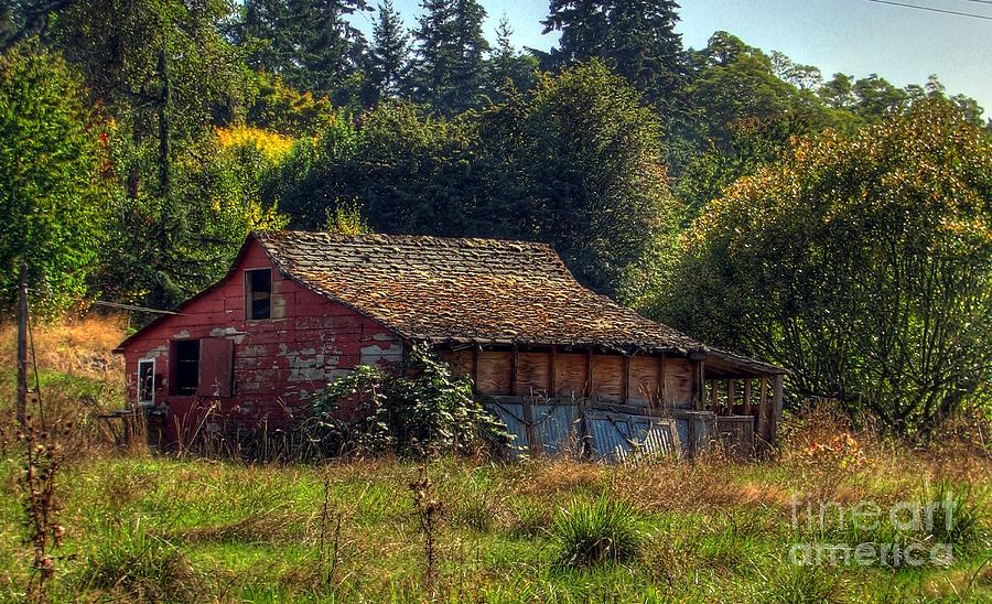 Autumnal HDR Photograph by Chris Anderson
