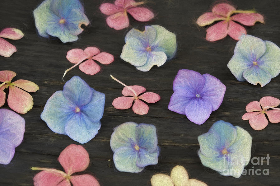 Autumnal Hydrangea Flowers And Petals Arranged On A Wooden Surfa Photograph by Lee Avison