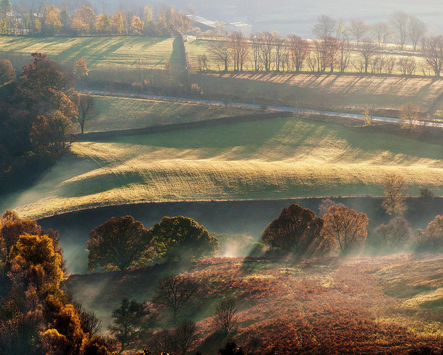 Autumnal Lake District Trees Photograph by John Finney Photography