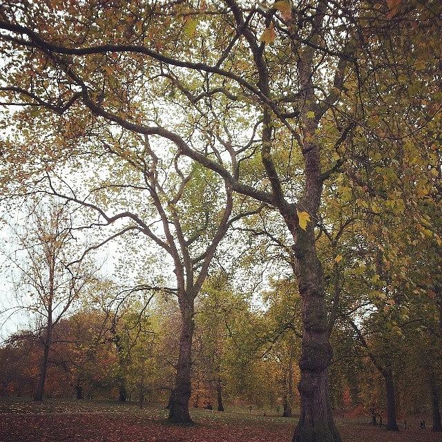 London Photograph - Autumnal London Town #london #greenpark by Anna Smith
