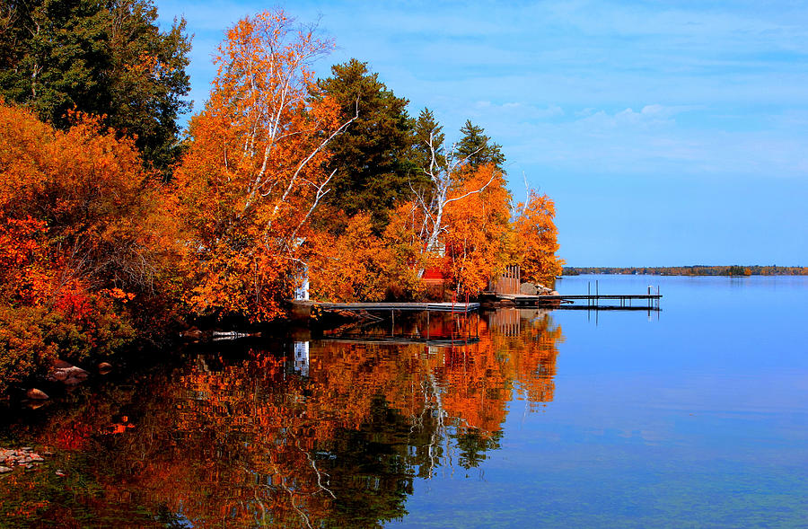 Tree Photograph - Autumnal Reflections by Larry Trupp