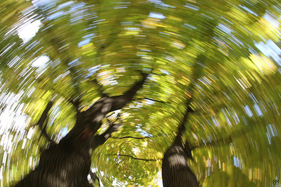 Autumnal Spin Photograph by John Meader