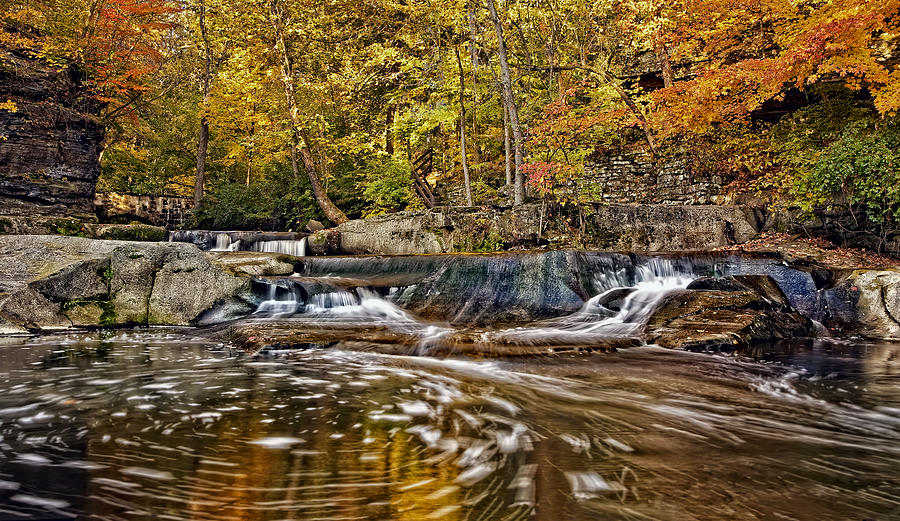 Autumnal Splendor Photograph by Marcia Colelli - Fine Art America