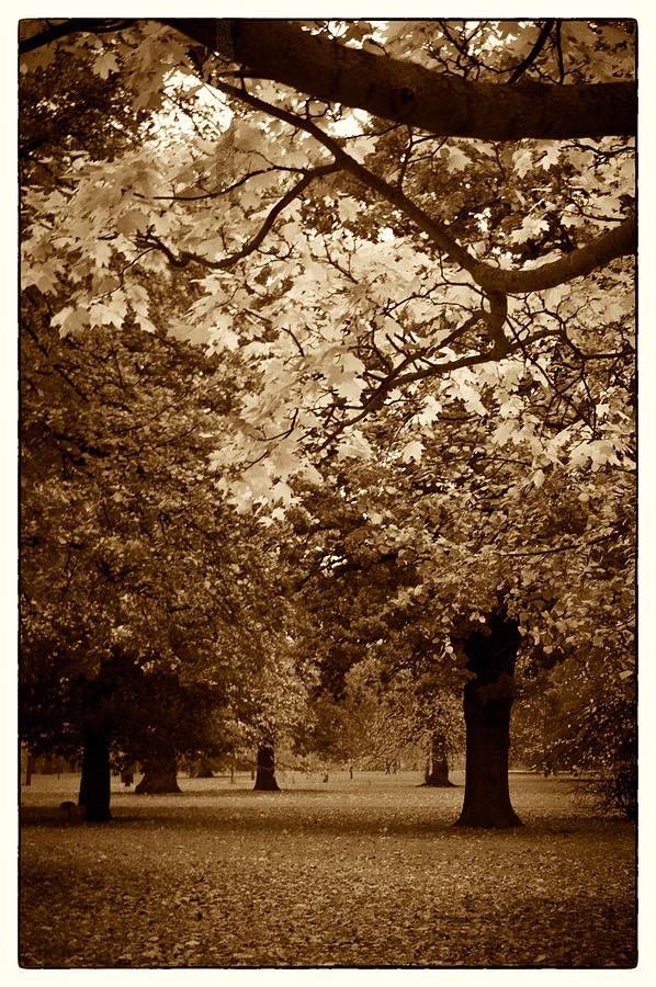 Autumnal Walks Photograph by Lenny Carter