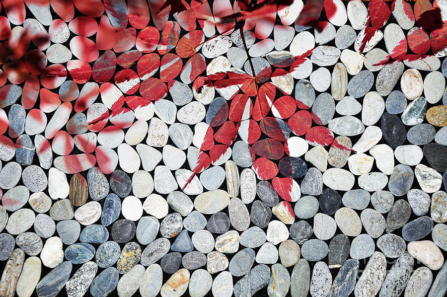 Autumnal zen Photograph by Delphimages Photo Creations