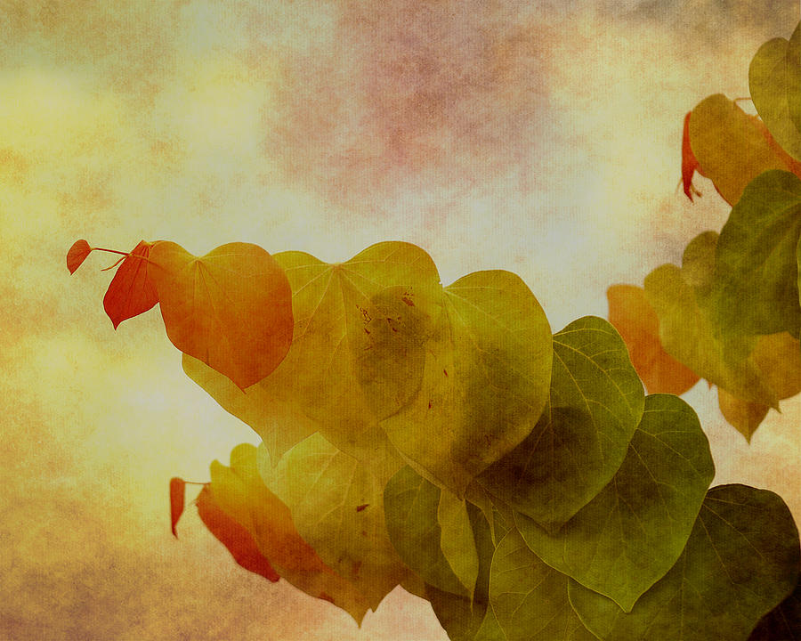 Autumns Approach Digital Art by TnBackroadsPhotos 