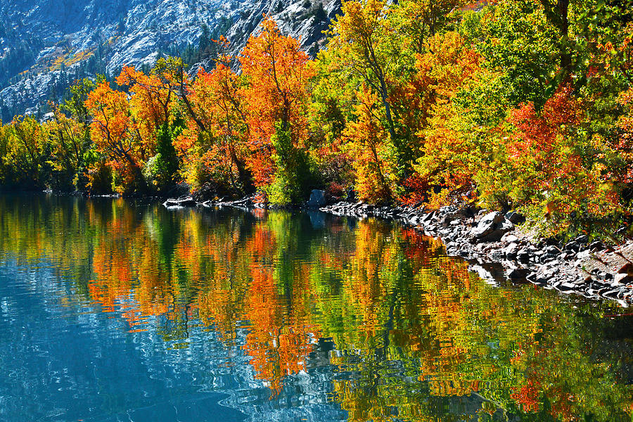 Fall Photograph - Autumns Beauty Reflected by Lynn Bauer