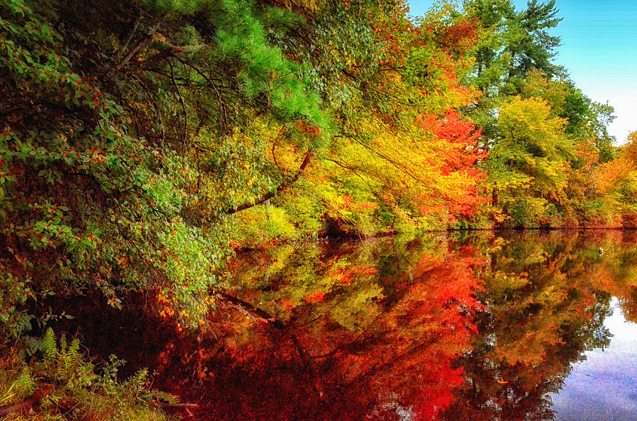 Autumns Beauty Photograph by Tricia Marchlik
