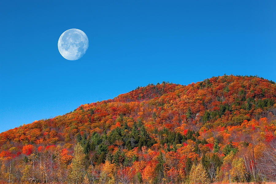 Autumns Big Moon  Photograph by Larry Landolfi