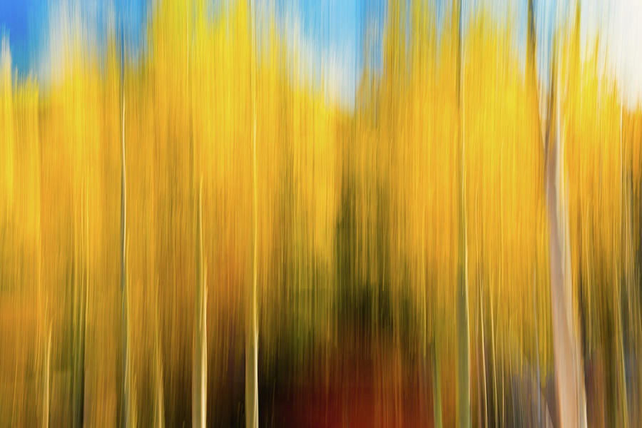 Autumns Blurred Lines Photograph by Photo By Sam Scholes