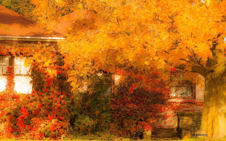 Autumns Camouflage Photograph by Patti Raine