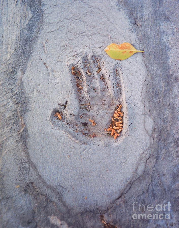 Autumns Child - Hand in Concrete Photograph by Heather Kirk