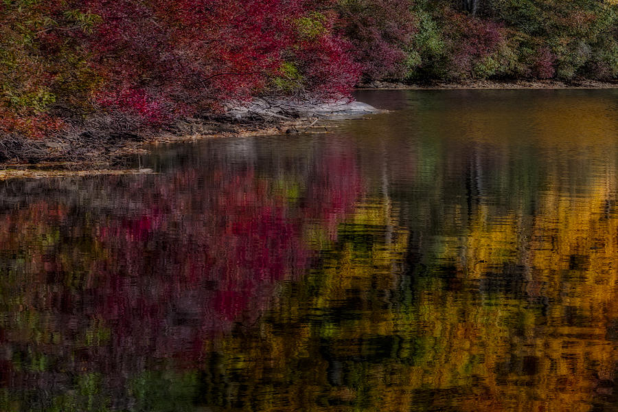 Autumns Color Pallette Photograph by Susan Candelario