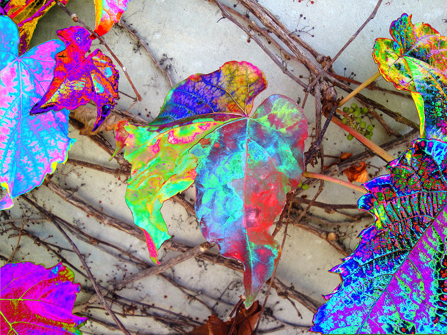 Nature Digital Art - Autumns Distortion        Second One by Kenneth James