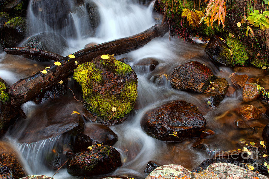 Autumns Flow Photograph by Jim Garrison