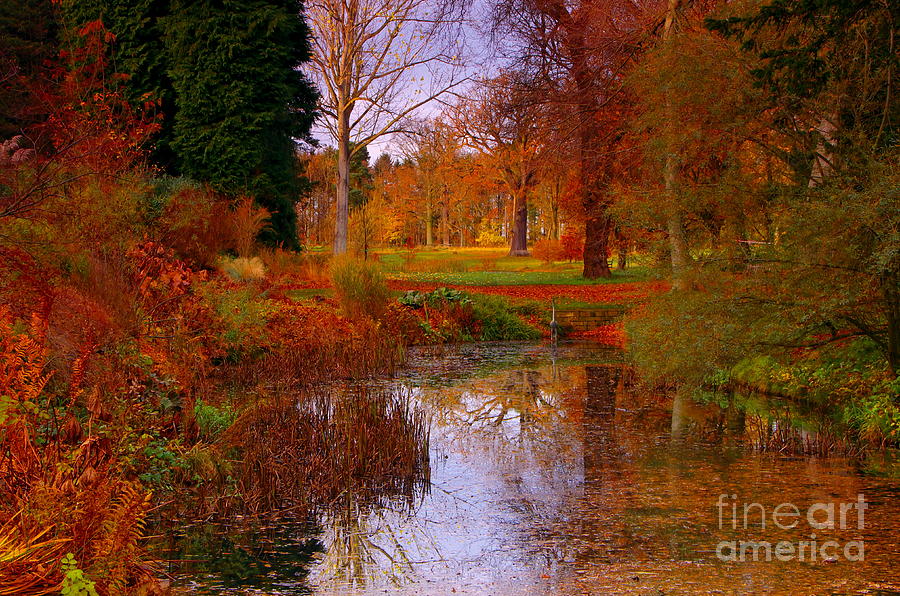 Autumns Golden Colours Photograph by Martyn Arnold