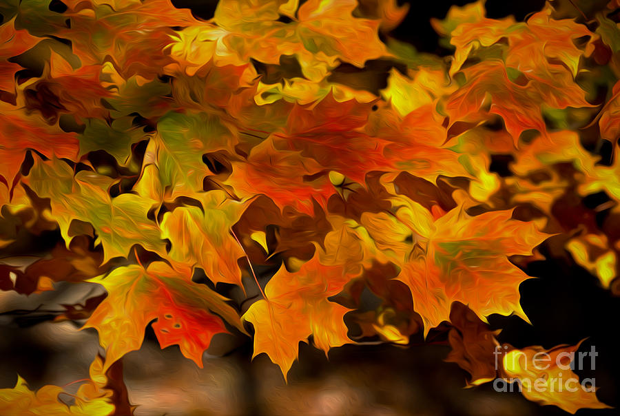 Fall Photograph - Autumns Leaves by Brian Mollenkopf