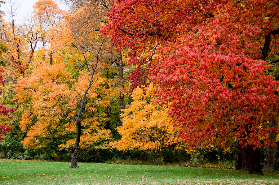Autumns Palette  Photograph by Steve Stuller