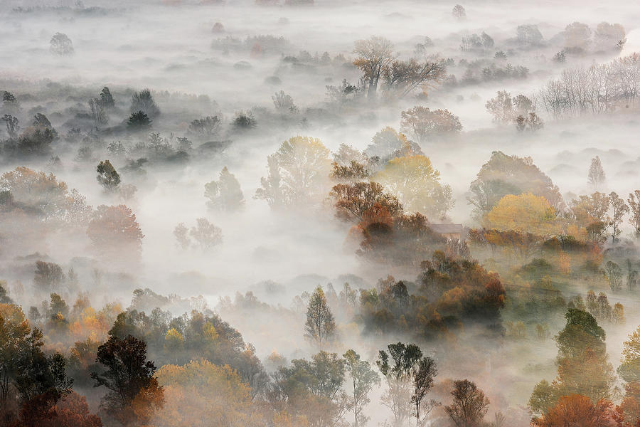 Autumns Photograph by Roberto Marini