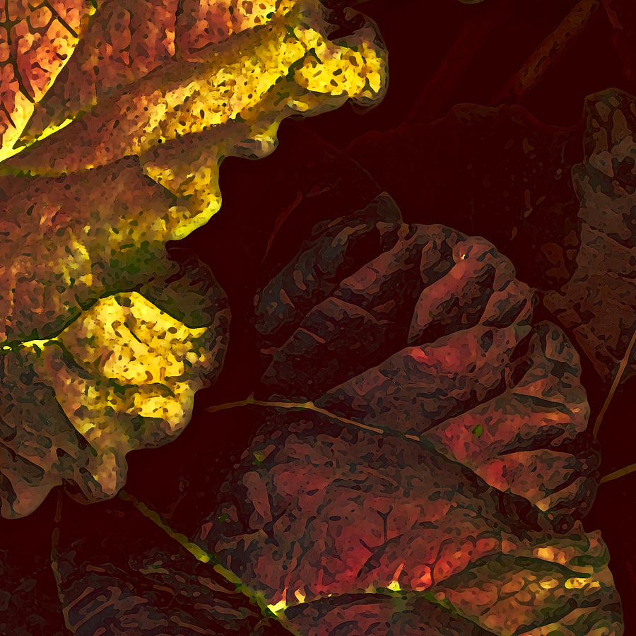 Autumns Sonata Photograph by Bonnie Bruno