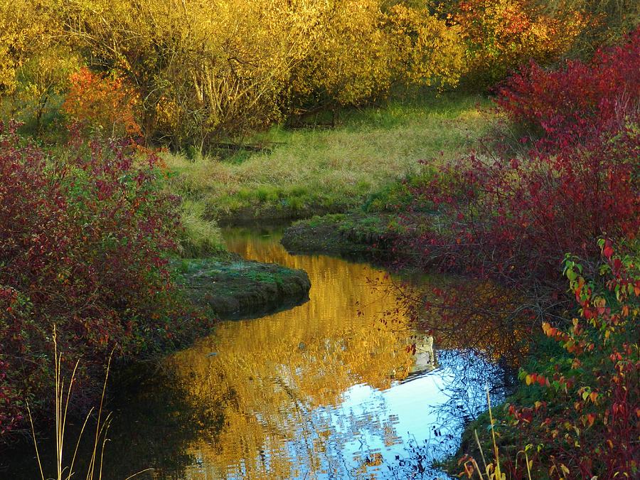Autumns Stream Photograph by Charles Lucas