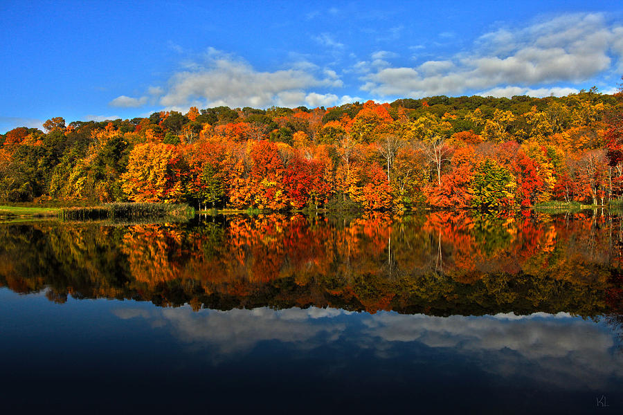 Autumnscape Photograph by Karol Livote - Fine Art America