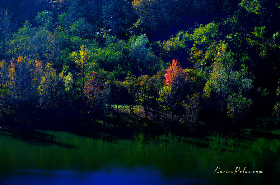 AUTUNNO Alba sul lago - AUTUMN Lake dawn 9749 Photograph by Enrico Pelos