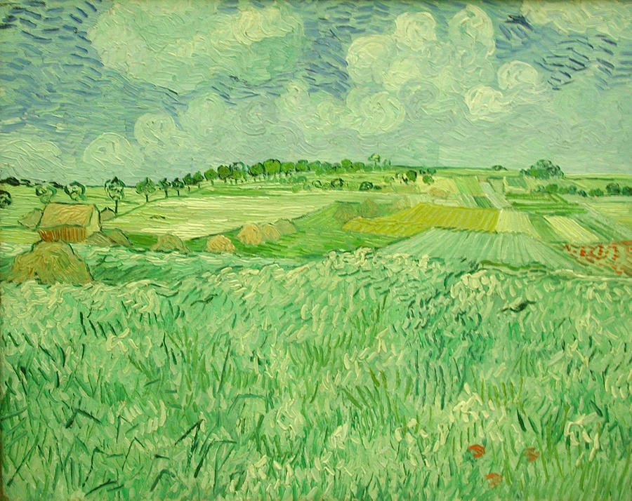 Vincent Van Gogh Painting - Auvers plain by Vincent van Gogh