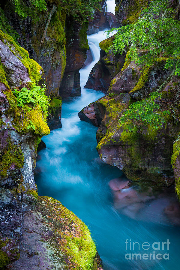 Nature Photograph - Avalanche Creek by Inge Johnsson