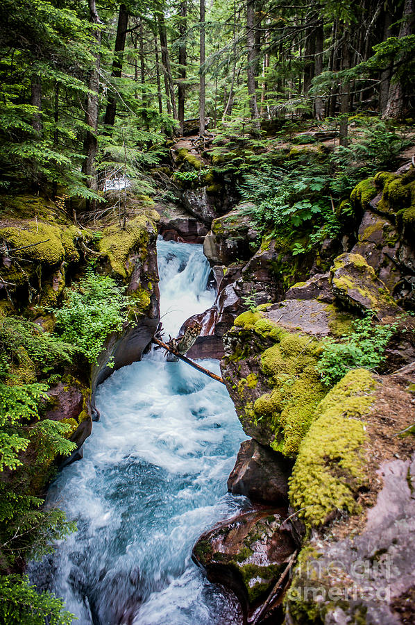 Avalanche Creek Photograph by Jim McCain