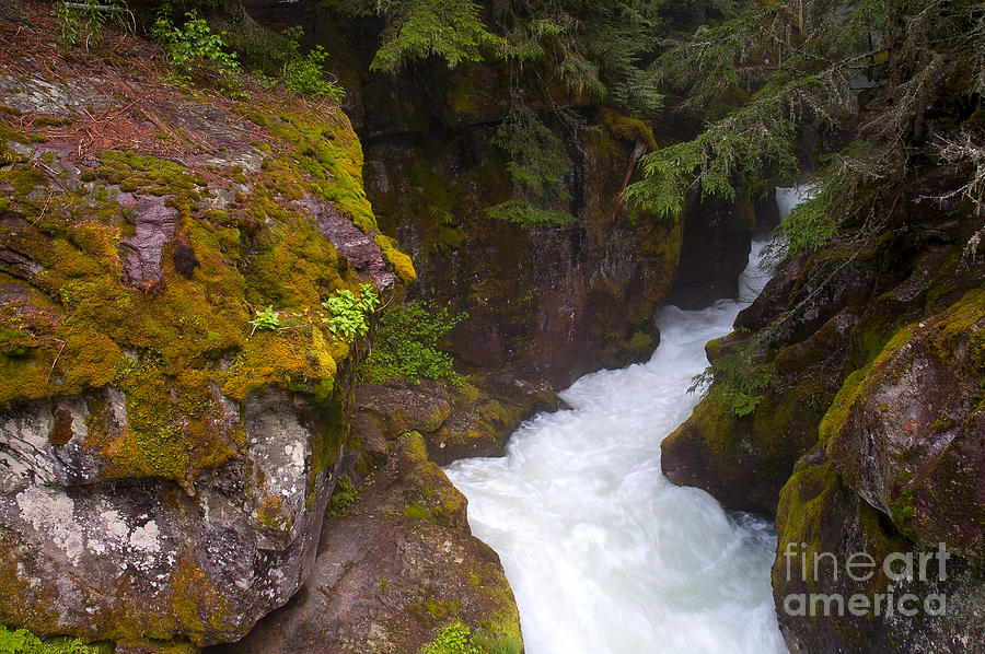 Avalanche Creek Photograph by Steve Stuller