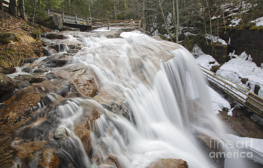 Landscape Photograph - Avalanche Falls - White Mountains New Hampshire USA by Erin Paul Donovan
