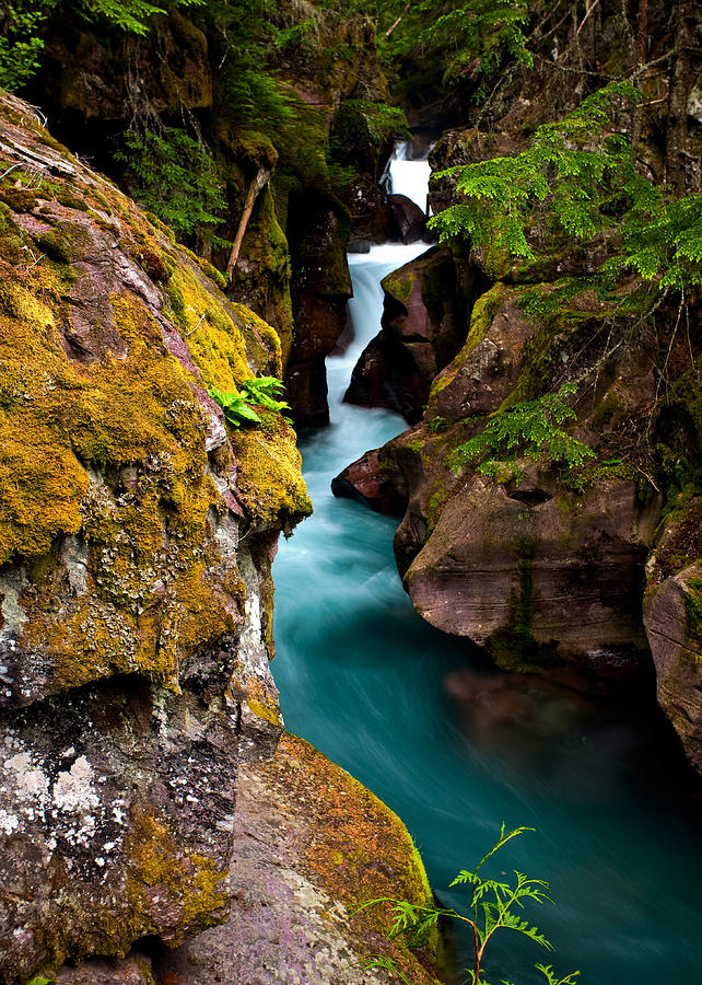 Avalanche Gorge Photograph by David Forster - Fine Art America