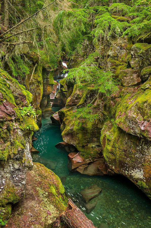 Avalanche Gorge in September Photograph by Greg Nyquist