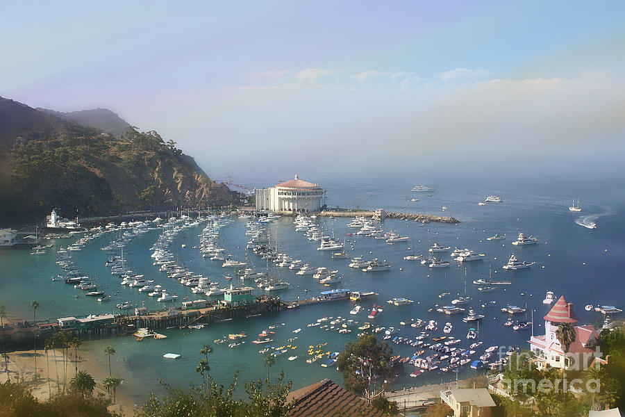 Avalon Bay Photograph By Bill Quick