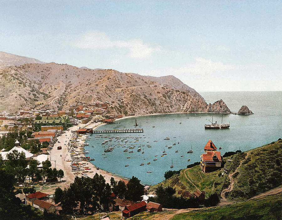 Boat Digital Art - Avalon Santa Catalina Island 1900 by Unknown 