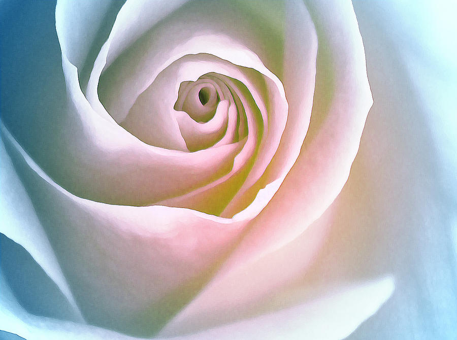 Rose Photograph - Ave Maria by The Art Of Marilyn Ridoutt-Greene