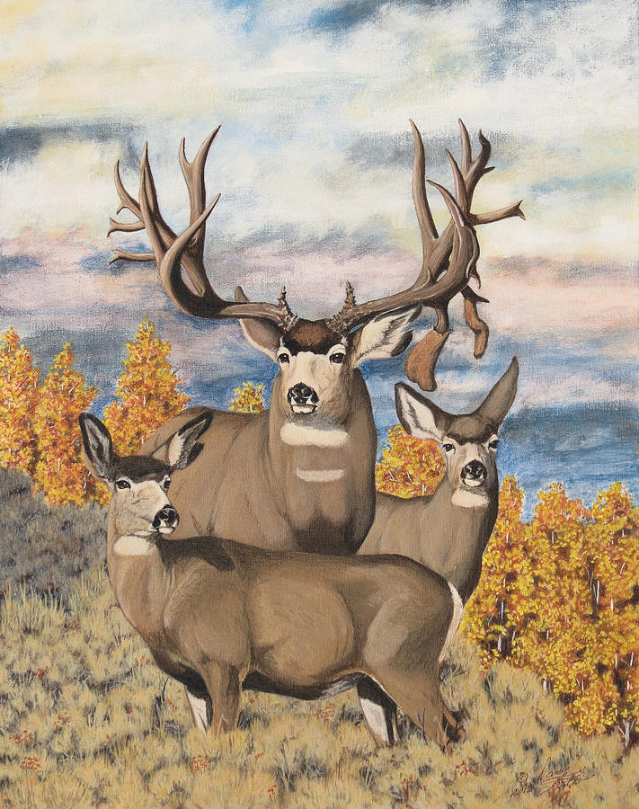 Avery Buck Painting by Darcy Tate