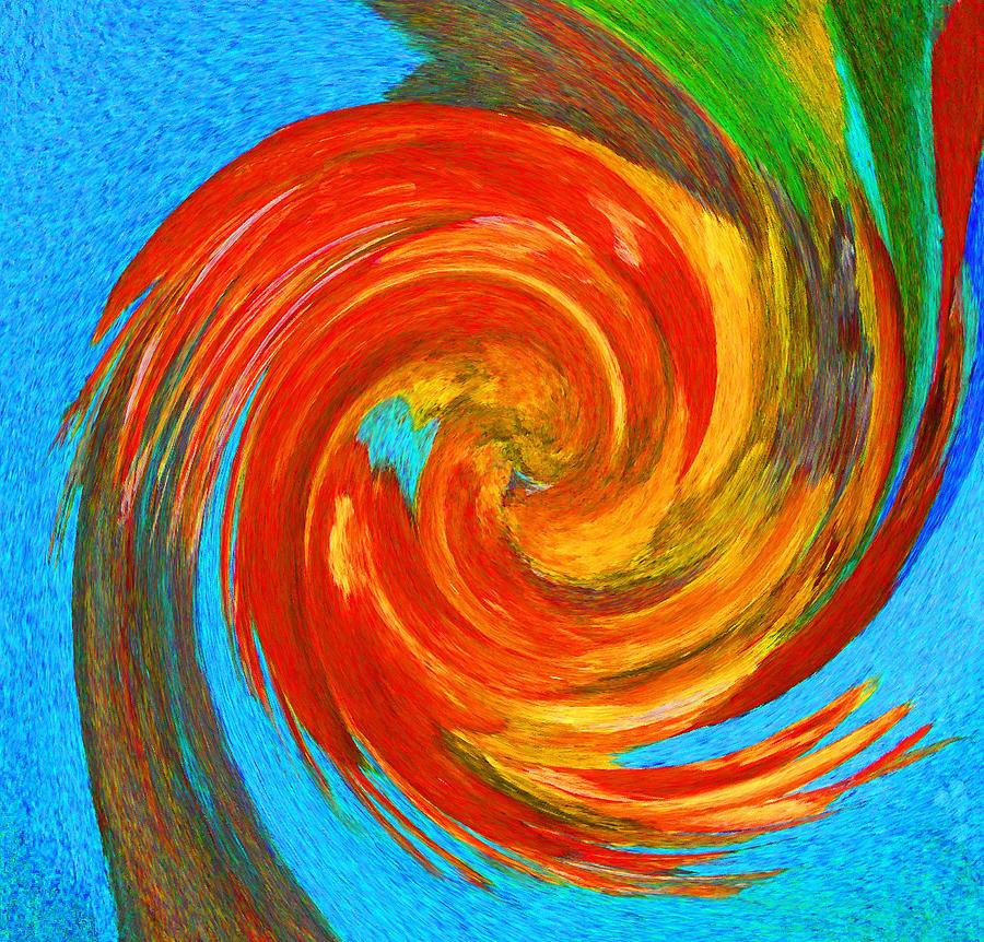 Abstract Photograph - Avian Swirl 3 by Margaret Saheed