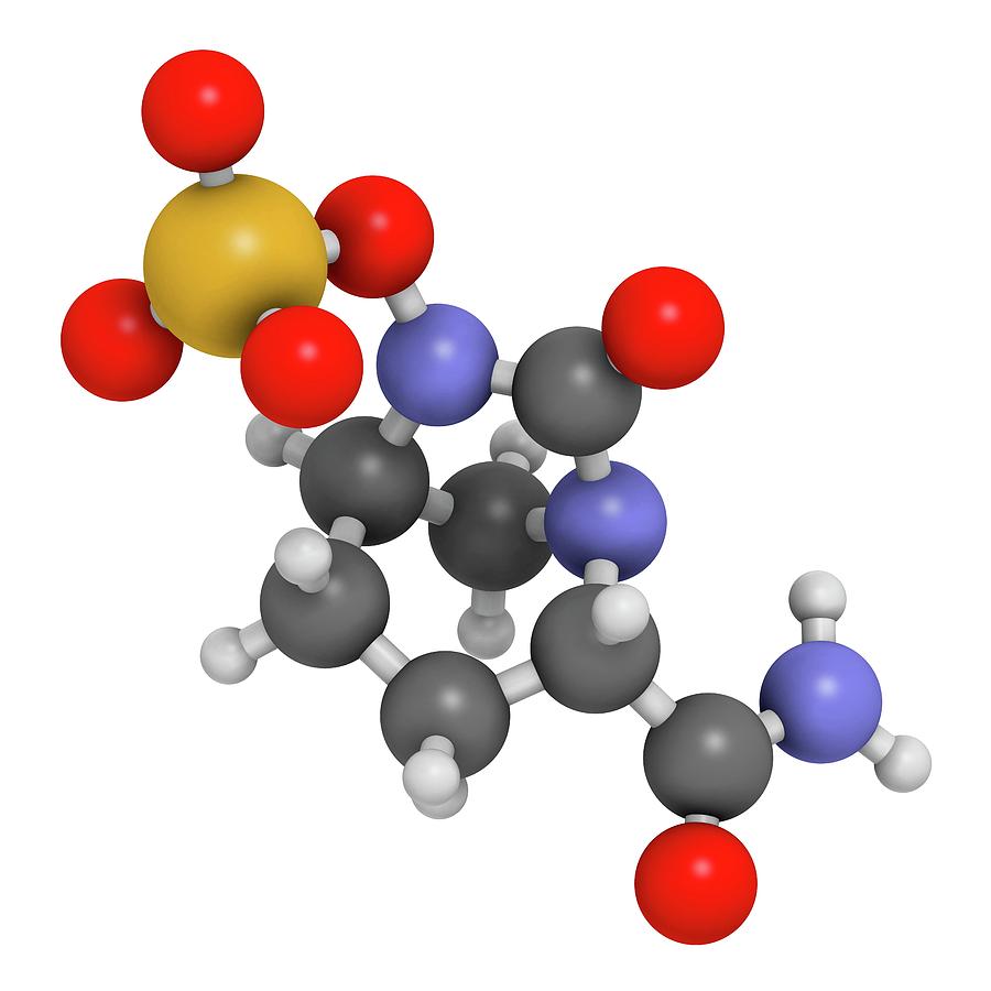 Avibactam Drug Molecule Photograph by Molekuul - Pixels