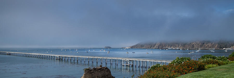 Avila Beach Pier and Harbor Photograph by Roger Mullenhour