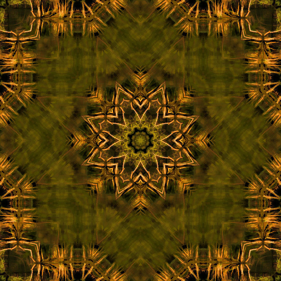 Avocado and Gold Kaleidoscope Photograph by Kathy Clark